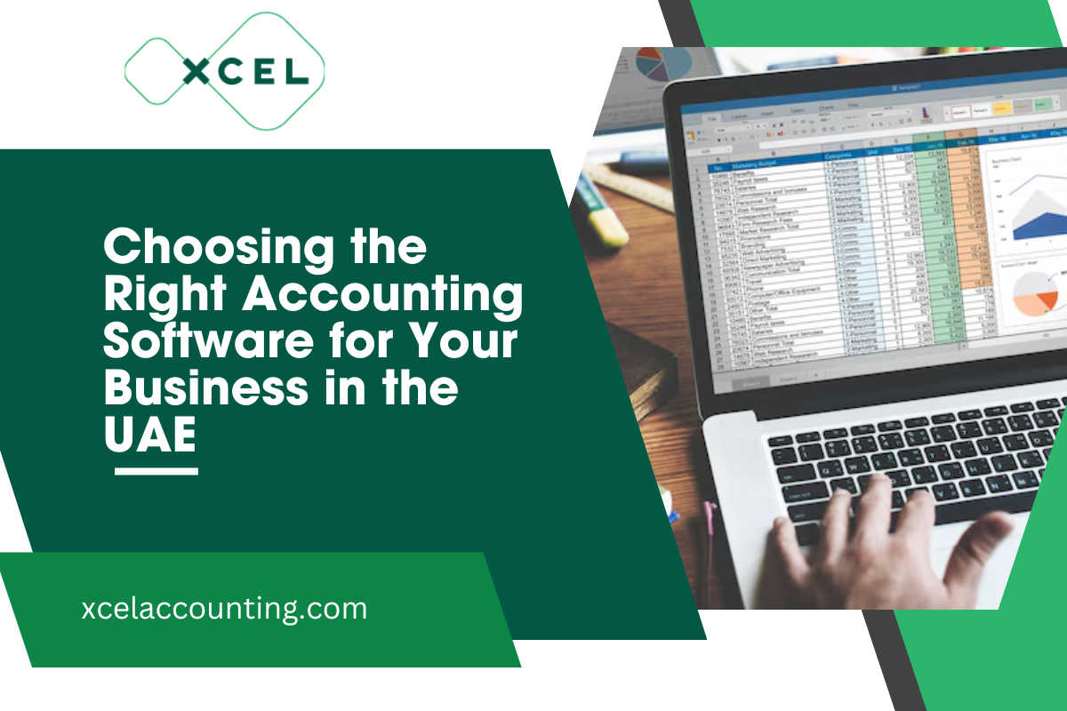 Choosing the Right Accounting Software for Your Business in the UAE