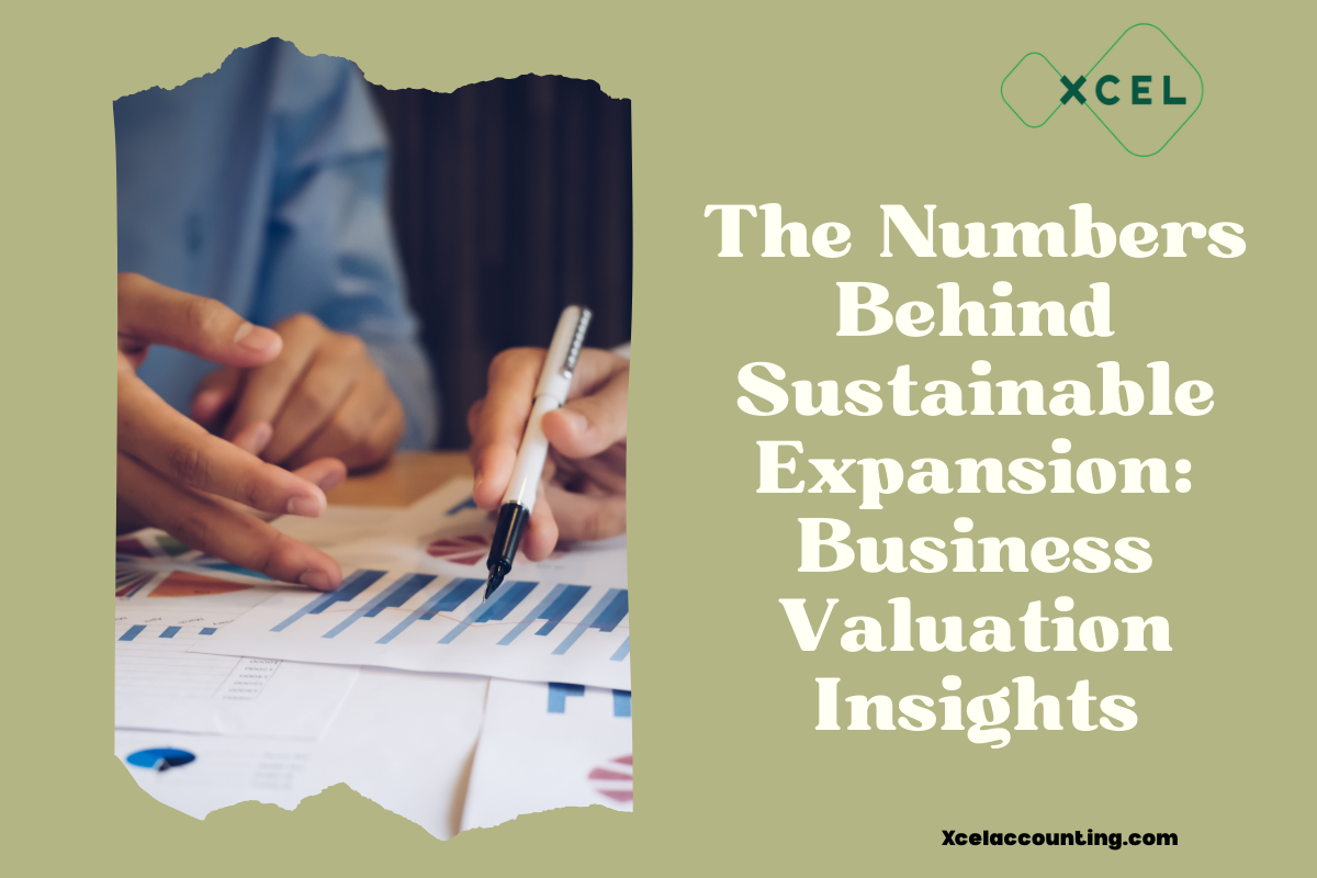 The Numbers Behind Sustainable Expansion: Business Valuation Insights