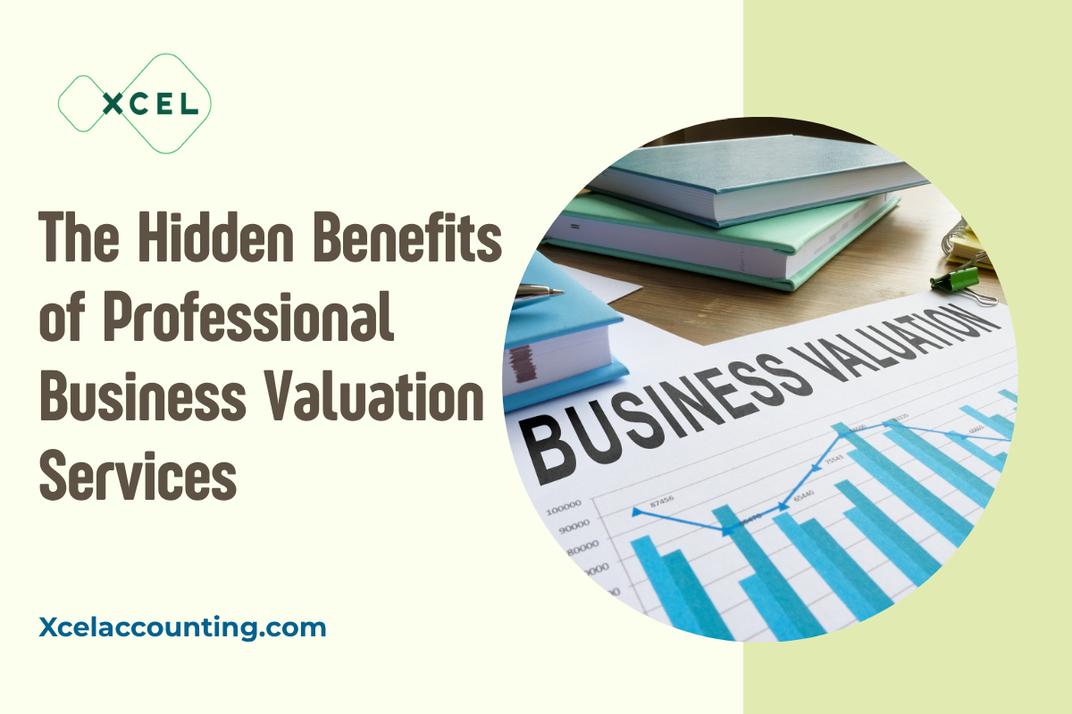 The Hidden Benefits of Professional Business Valuation Services