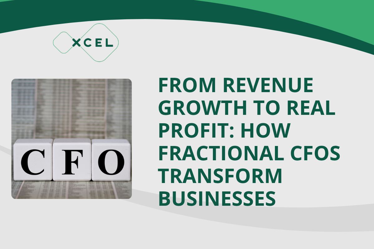 From Revenue Growth to Real Profit: How Fractional CFOs Transform Businesses